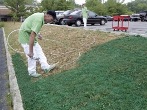 drought-painted-lawns.jpeg-1280x960
