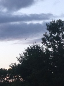 2015-08-24 19.10.00-2